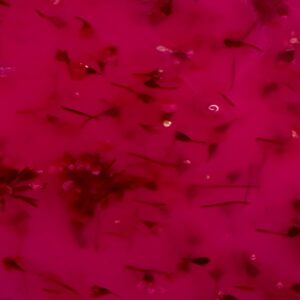 Floral Glass – Builder Gel Rosy Bloom 03 – 30g