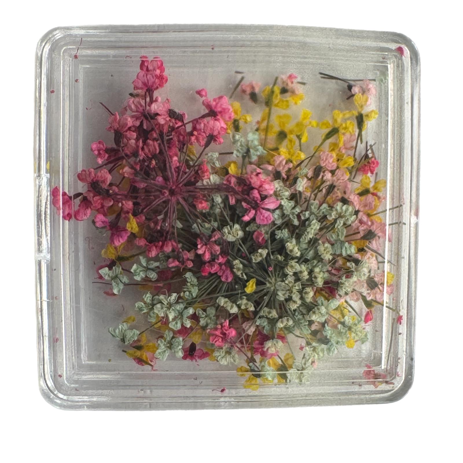 Set de flores secas para decoración de uñas (2 cajas) - AC-FL-01 - Imagen 3