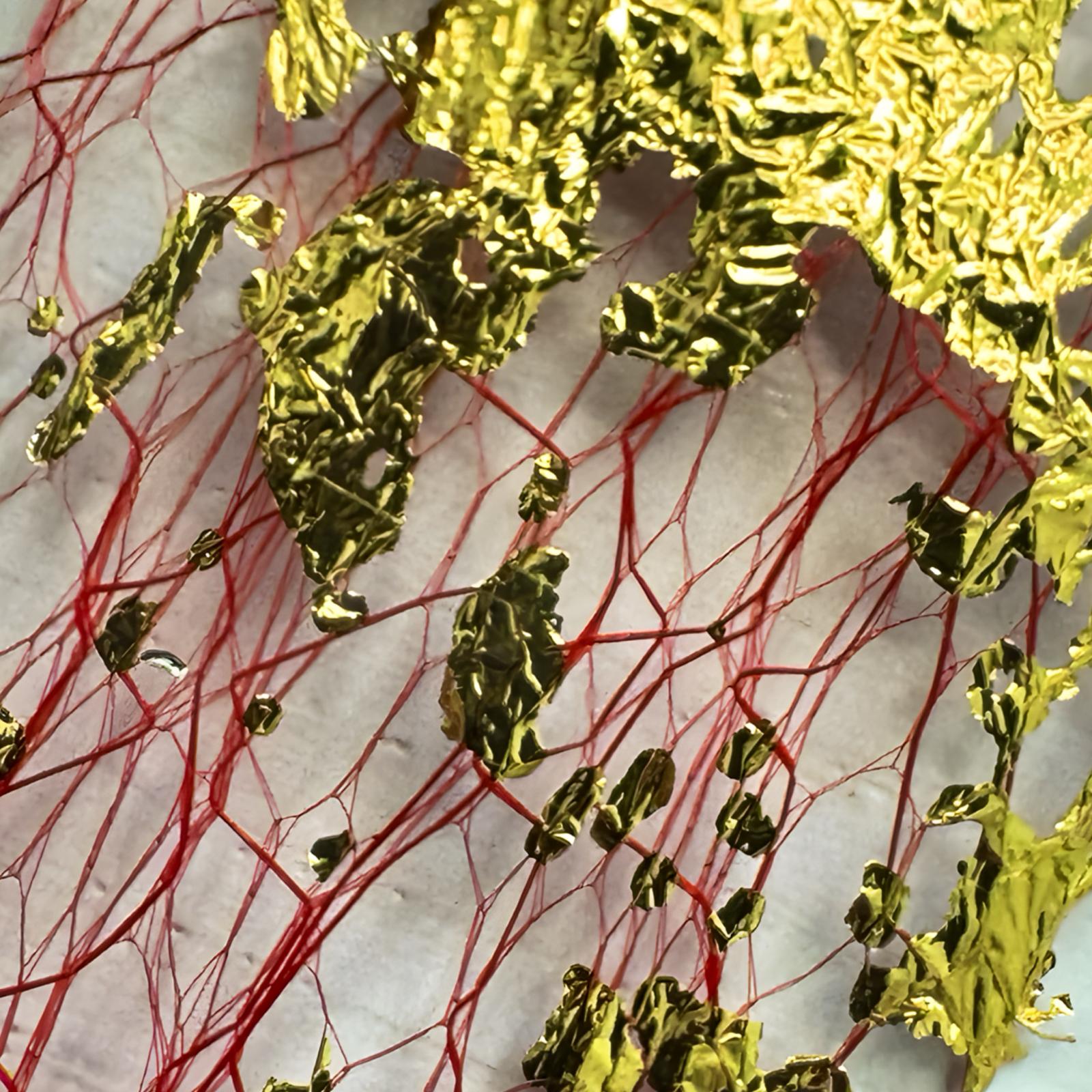 Decoración de uñas – Red roja con foil dorado - NA-DEC-06