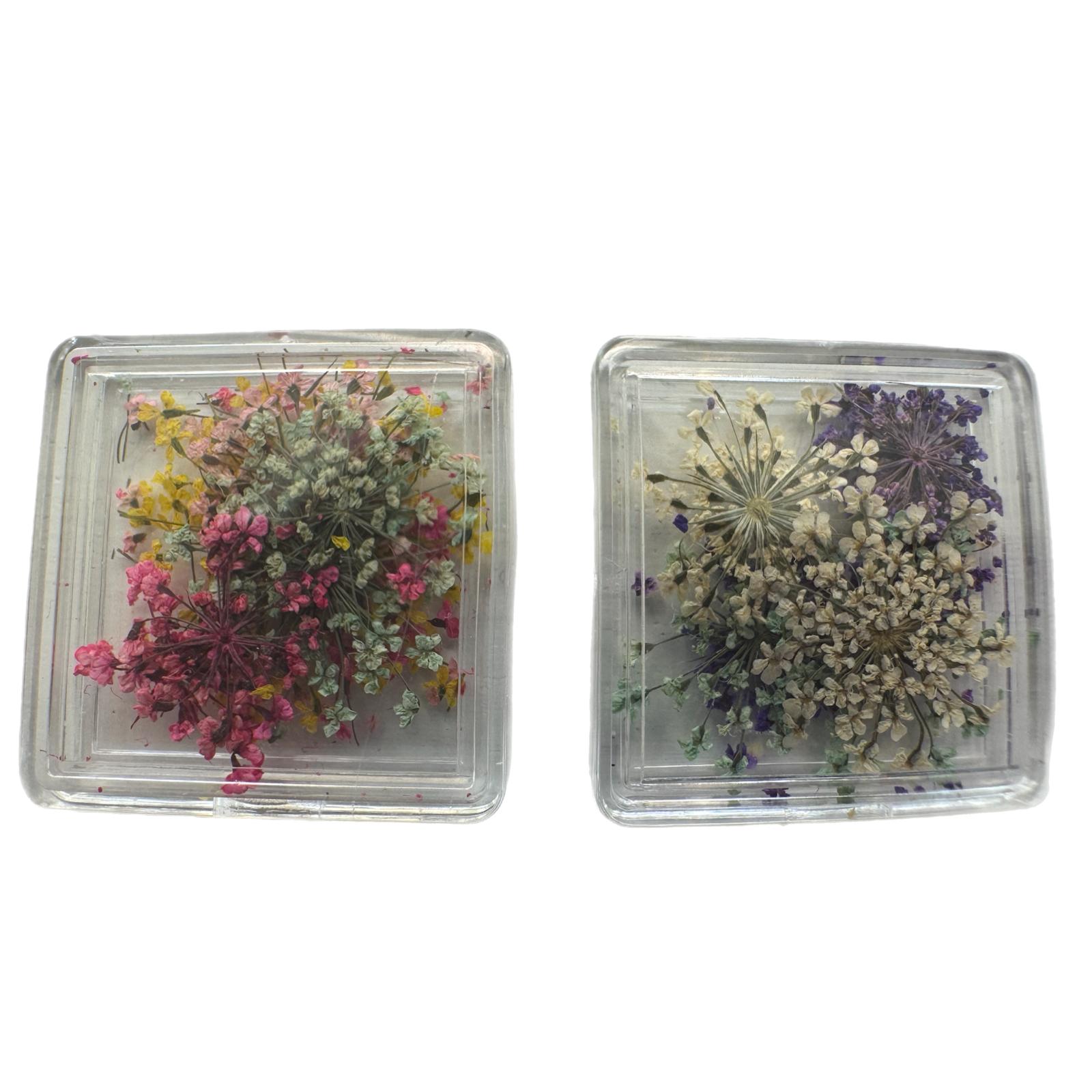 Set de flores secas para decoración de uñas (2 cajas) - AC-FL-01